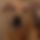 BandLab banner for @nodding
