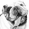 BandLab profile picture for @sundance