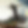 BandLab banner for @laughed