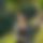 BandLab banner for @jayameh