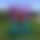 BandLab banner for @lesions