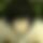 BandLab banner for @newsletter