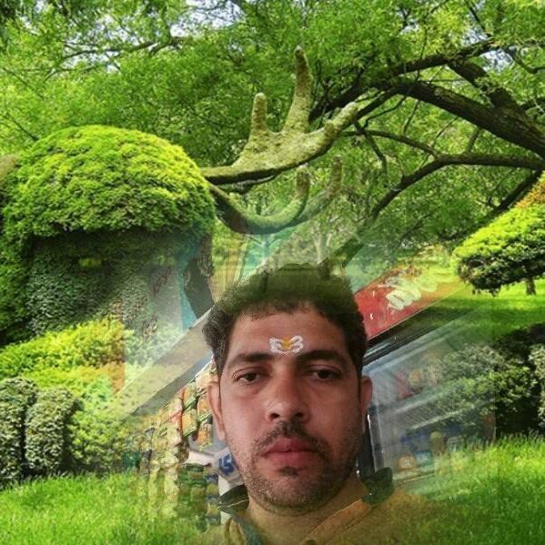 BandLab profile picture for @pandit