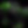 BandLab banner for @tw4r