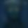 BandLab banner for @squiddle