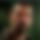 BandLab banner for @yahoo