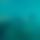 BandLab banner for @tides