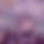 BandLab banner for @sedated