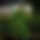BandLab banner for @rannni