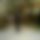 BandLab banner for @boning