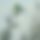 BandLab banner for @oregon
