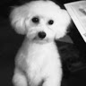 BandLab profile picture for @trusting