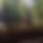 BandLab banner for @itz_me