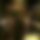 BandLab banner for @rhys1x