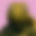BandLab banner for @ginseng