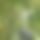 BandLab banner for @citizen