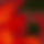 BandLab banner for @ssxm