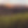 BandLab banner for @elated