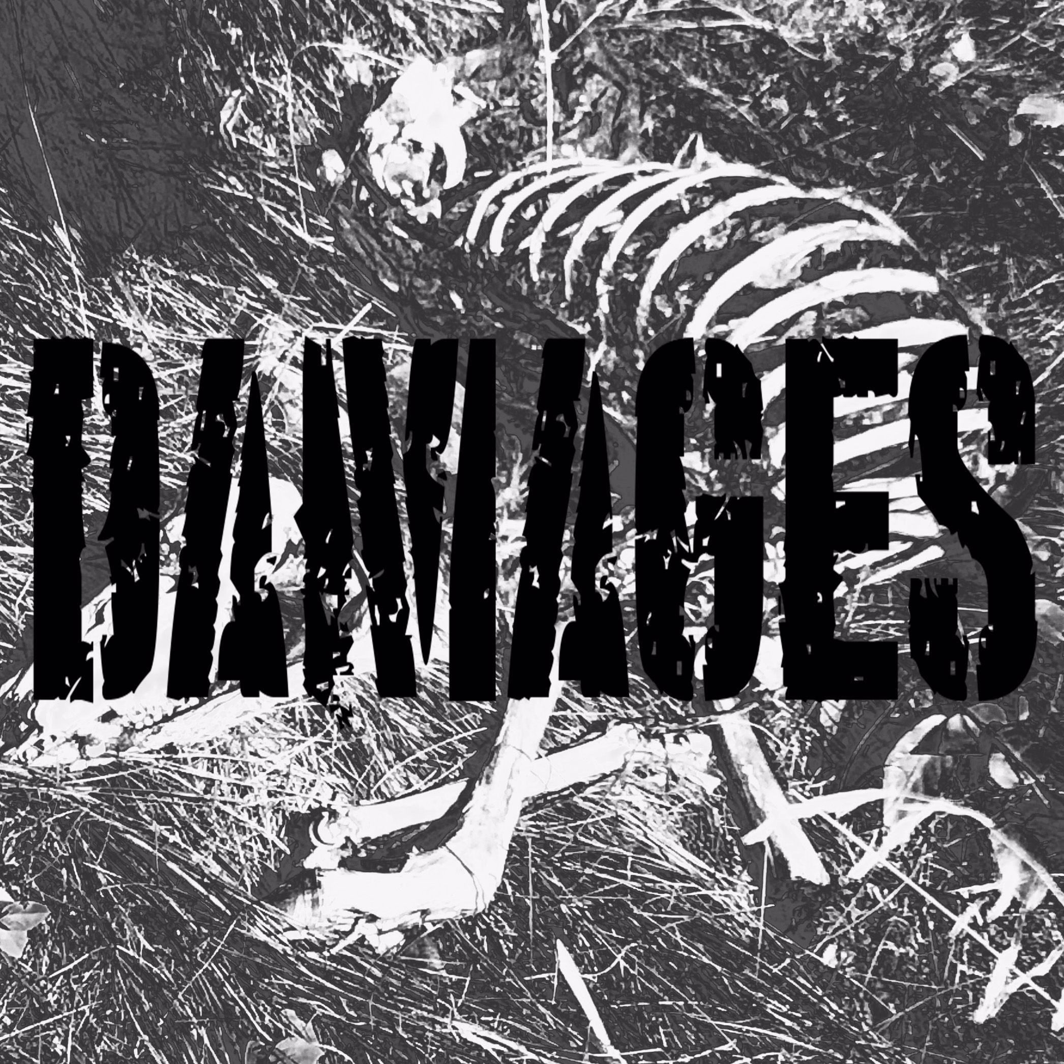 BandLab profile picture for @damages