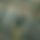 BandLab banner for @shailendra