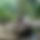 BandLab banner for @eager