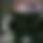 BandLab banner for @vidoeiro