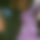 BandLab banner for @overalls