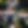 BandLab banner for @crusade