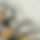 BandLab banner for @connoisseur