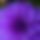 BandLab banner for @insightful