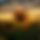 BandLab banner for @jerking