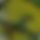 BandLab banner for @feeders