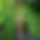 BandLab banner for @handset