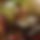 BandLab banner for @knowledge