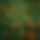 BandLab banner for @absurd