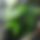 BandLab banner for @esporte