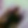 BandLab banner for @nitaa