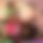 BandLab banner for @ferni