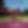 BandLab banner for @tonny