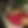 BandLab banner for @juniur