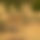 BandLab banner for @dredging