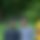 BandLab banner for @kachha