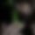 BandLab banner for @gojox77