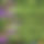 BandLab banner for @sulfate