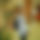 BandLab banner for @blabbing