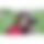 BandLab banner for @oyun