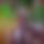BandLab banner for @omiislam