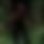 BandLab banner for @soydarwinm