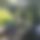 BandLab banner for @equatos