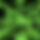 BandLab banner for @misinformed